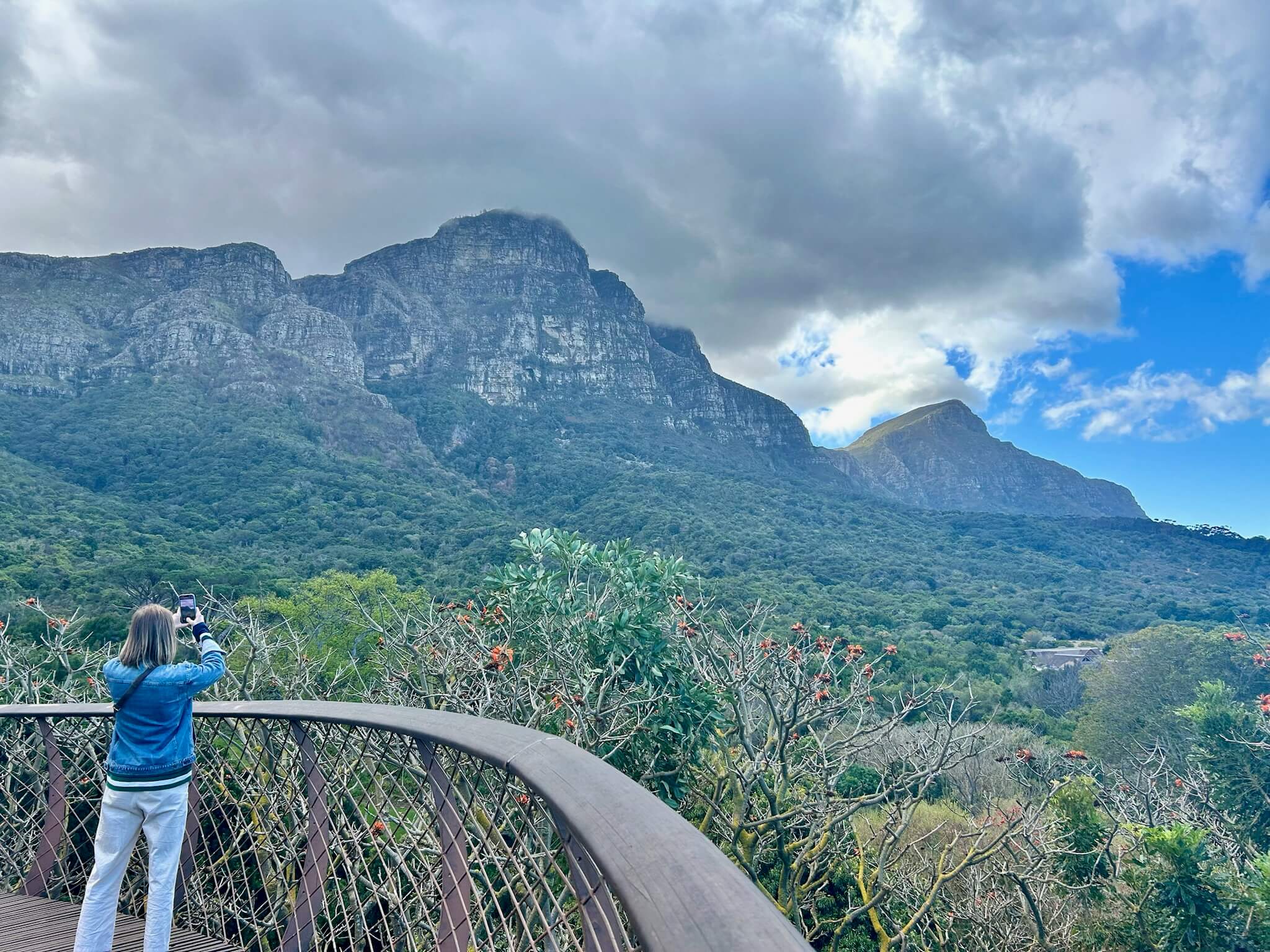 The back of Table Mountain