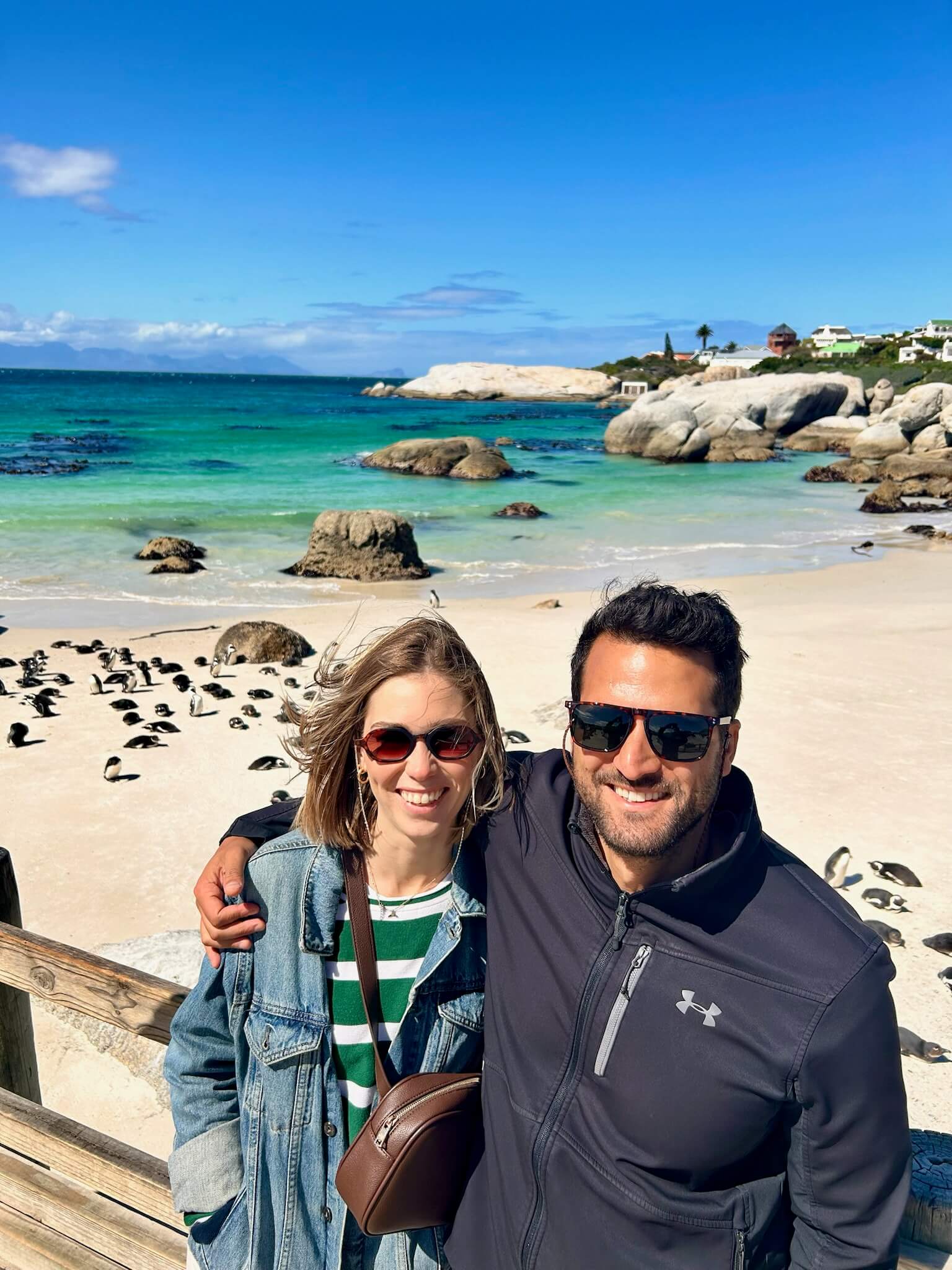 Penguins at Boulders Beach