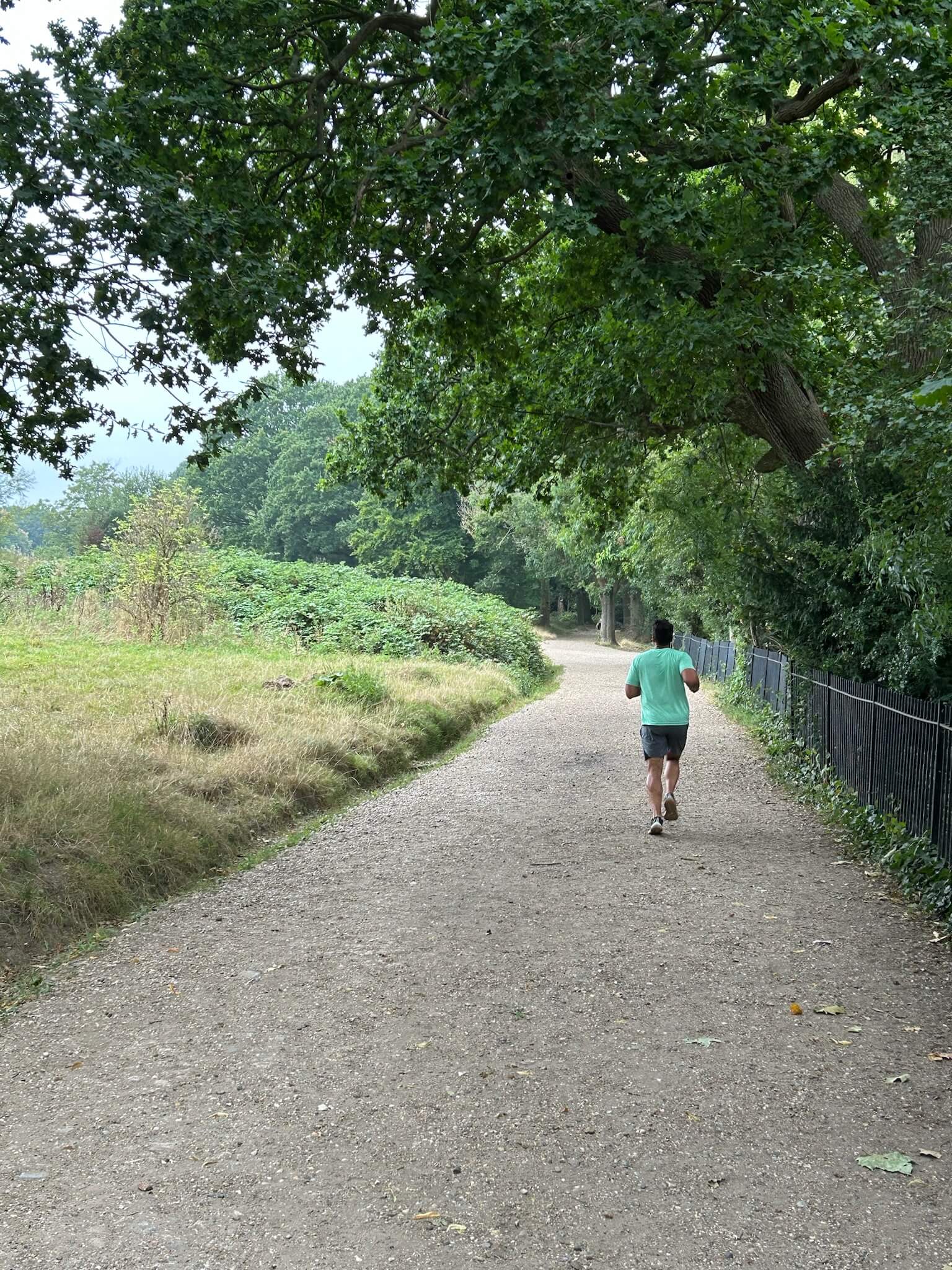 Running in Hampstead Heath
