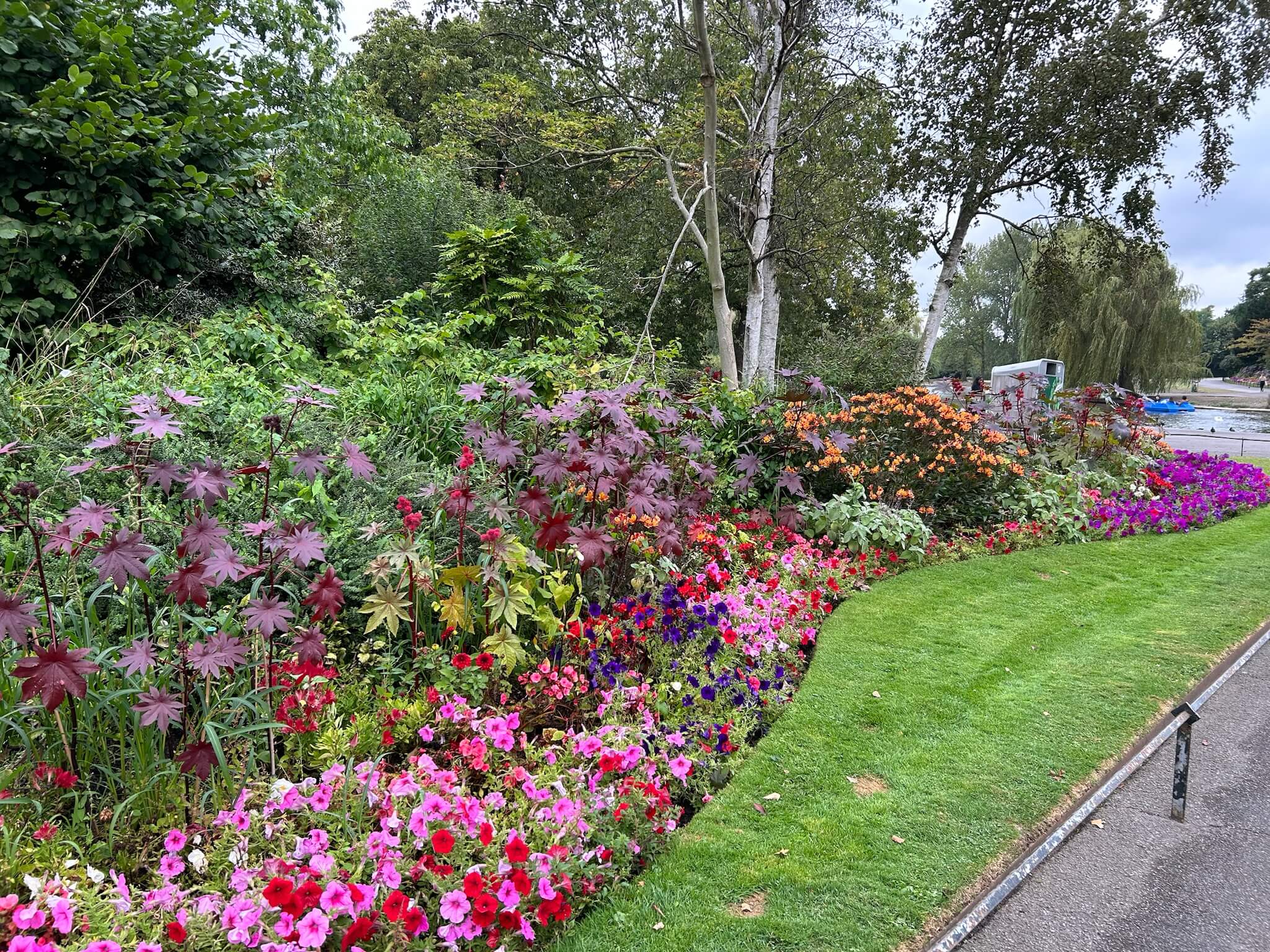 Flowers in St. James's Park